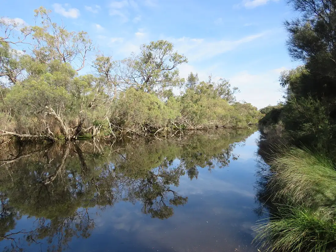 The Canning River in Canning River Regional Park